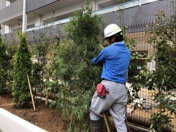 横浜市金沢区で植栽工事をお手伝いしてきました