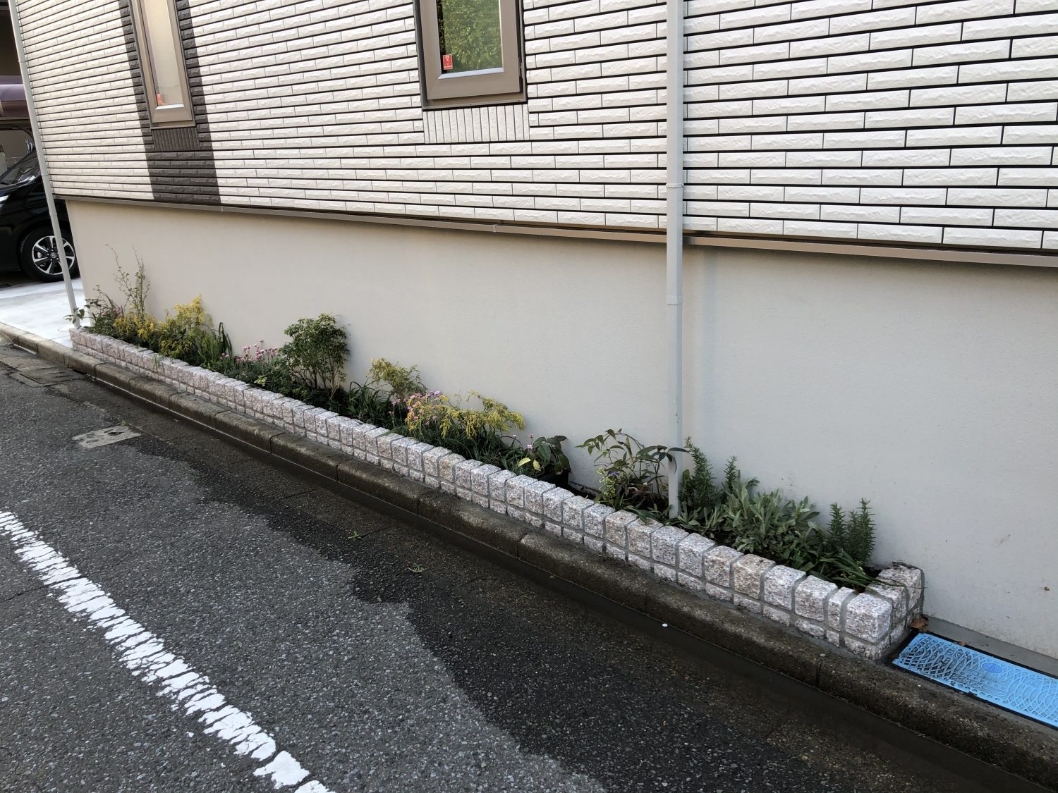 東京都狛江市の個人邸で植栽をしてきました